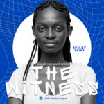 The Witness